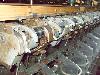  UTEX Model 7-DT Heavy Duty Ring Twisters, 100 spindles,